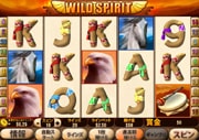 Wild Spirit