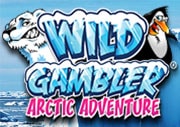 Wild Gambler2 Arctic Adventure