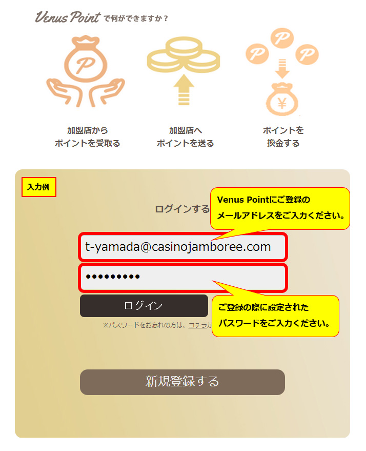 ヴィーナスポイントからの入金方法手順3